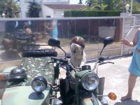 http://www.motosrusas.es/foro/uploads/thumbs/263_ranger-9.jpg